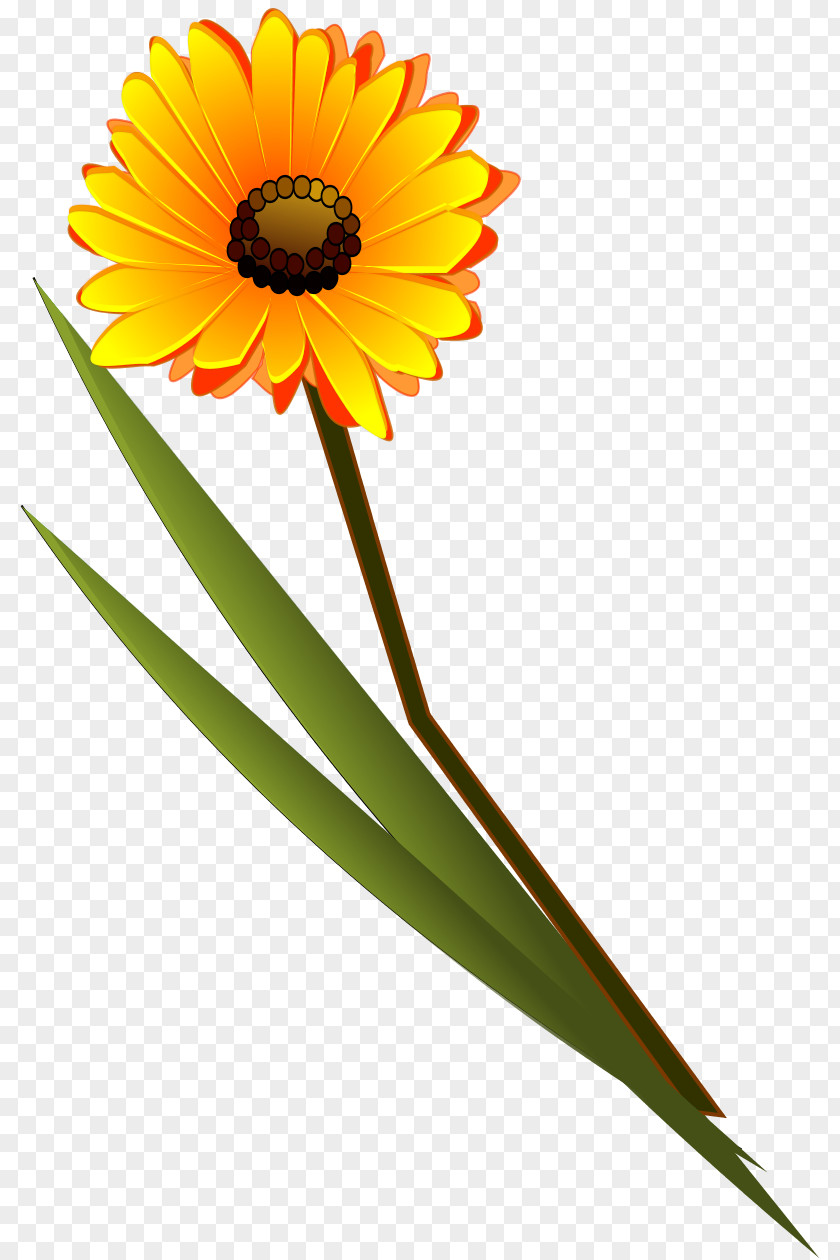 Gerbera Flower Lds Clip Art PNG