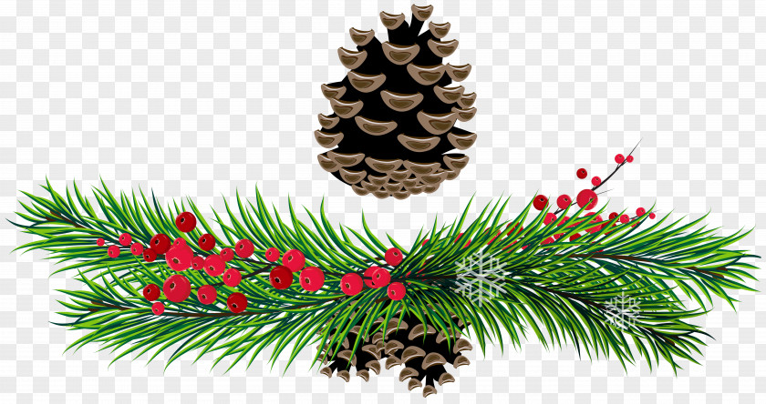 Green Branch Cliparts Pine Conifer Cone Christmas Clip Art PNG