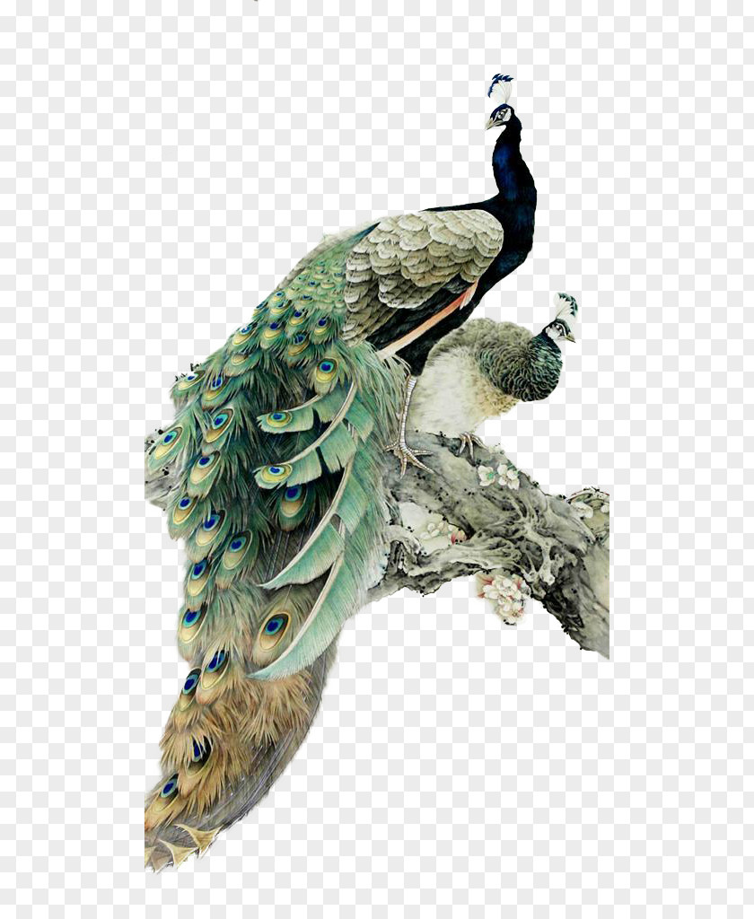 Hand-painted Peacock Landscape Painting Chinese Watercolor Peafowl PNG