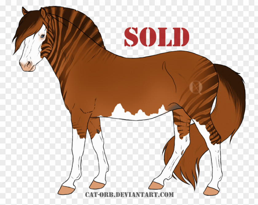 Mustang Mane Foal Mare Stallion Colt PNG