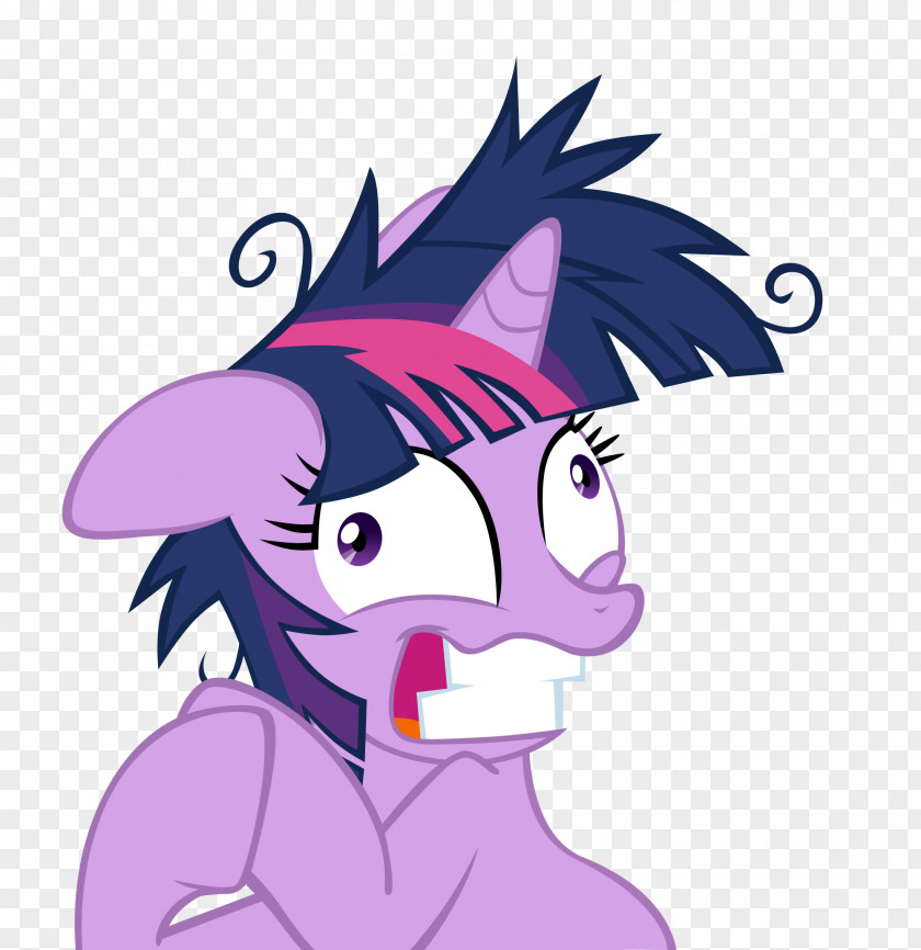 Sparkle Twilight Pinkie Pie Rarity Rainbow Dash Applejack PNG