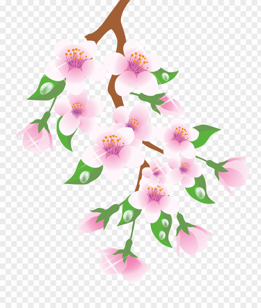 Spring Branch Pink Clipart Clip Art PNG