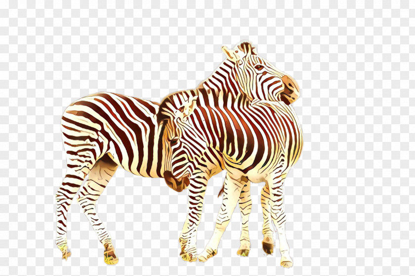 Zebra Wildlife Animal Figure Snout Neck PNG