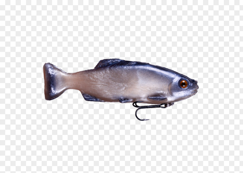 Bream Spoon Lure Oily Fish Herring PNG