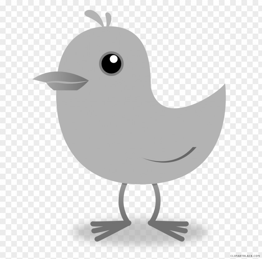Chinese Bird Wallpaper Clip Art Illustration Chirp Image Free Content PNG