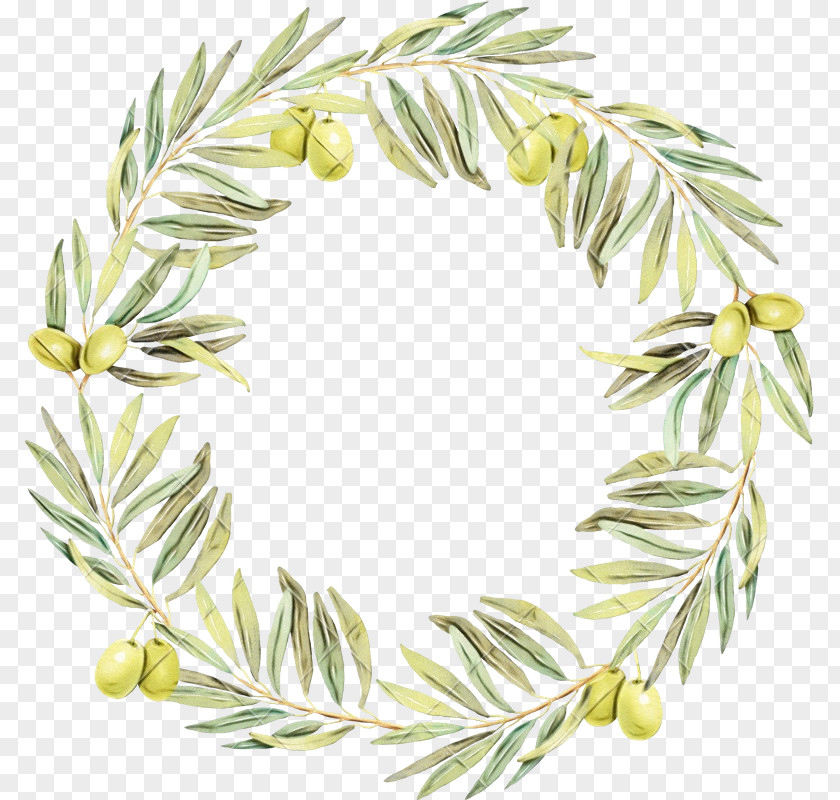 Christmas Decoration Vascular Plant Watercolor Wreath PNG