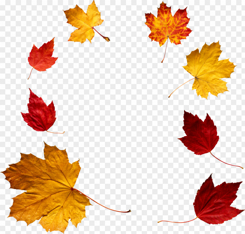 Leaves Pinterest Autumn Clip Art PNG