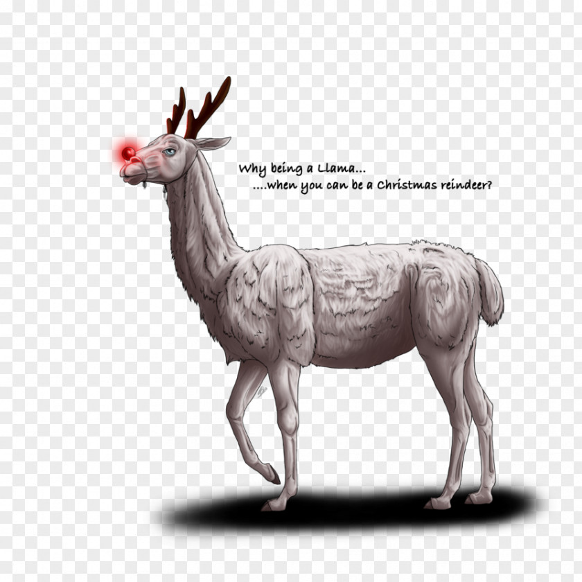 Reindeer Elk Antler Fauna Wildlife PNG