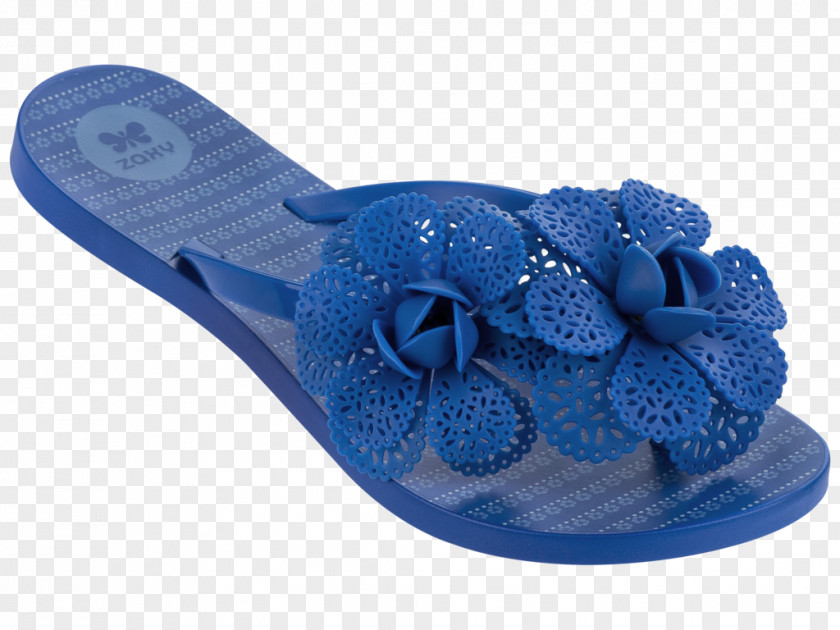 Sandal Flip-flops Grendene Shoe Footwear PNG
