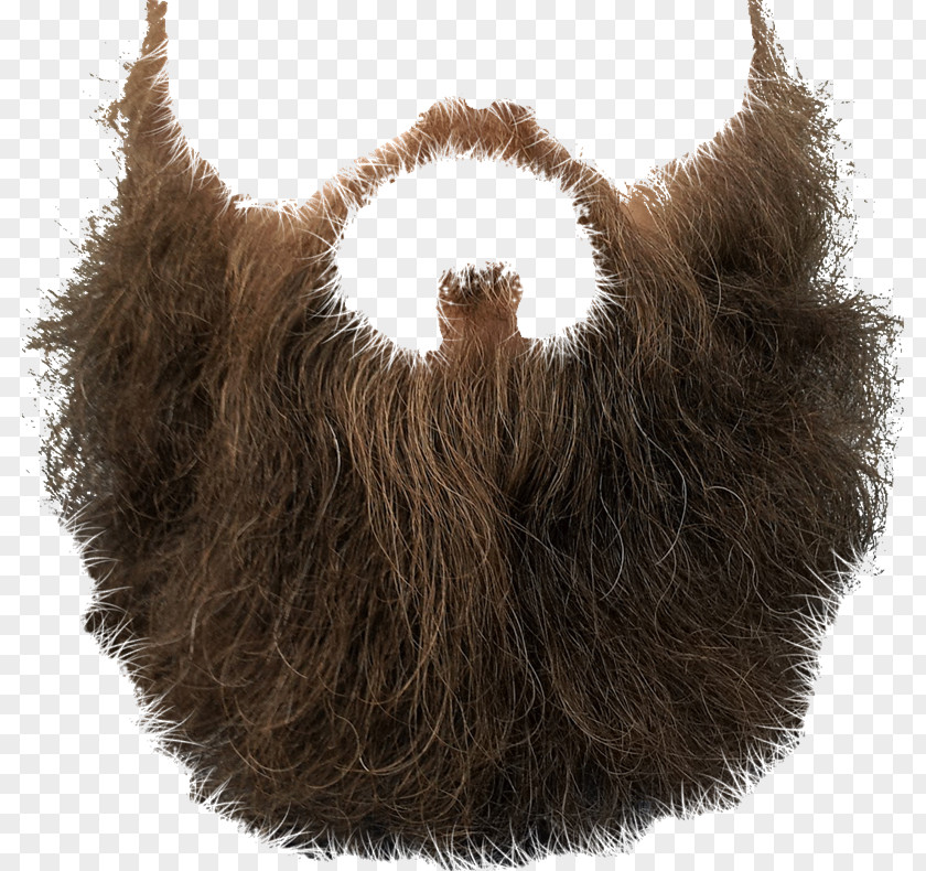 Beard Download Clip Art PNG