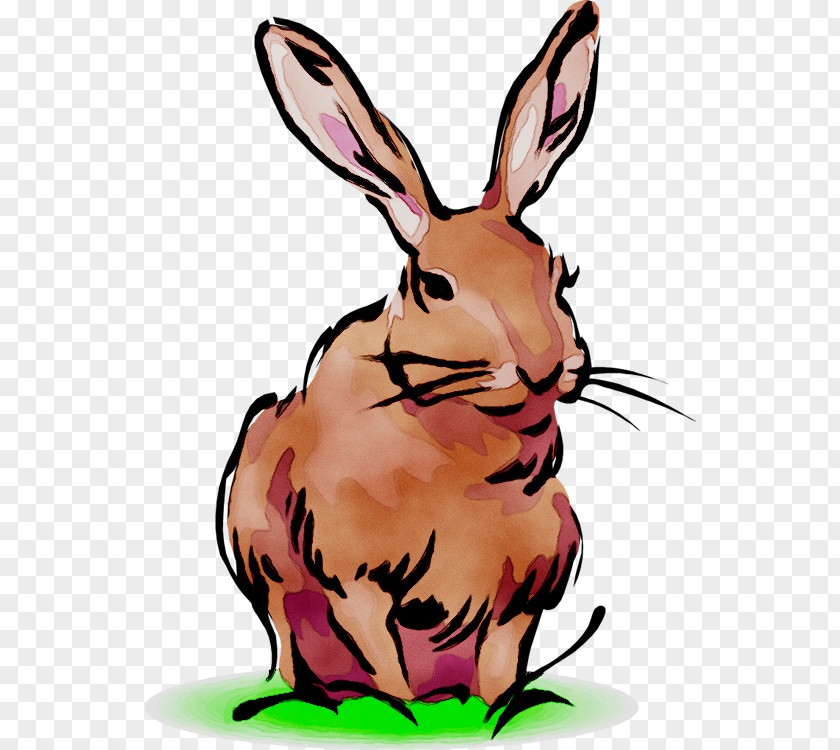 Domestic Rabbit Clip Art Hare Dog PNG