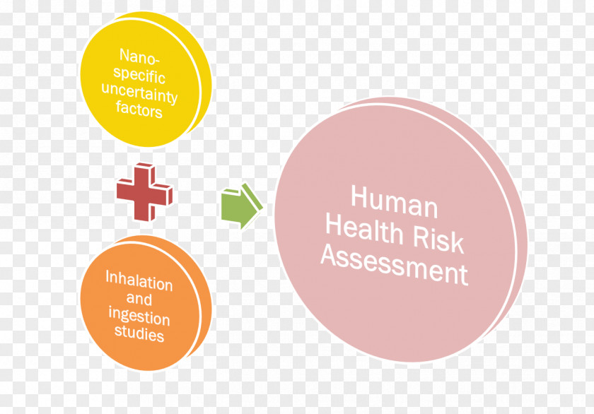 Health Risk Assessment Toxicology Workplace Wellness PNG