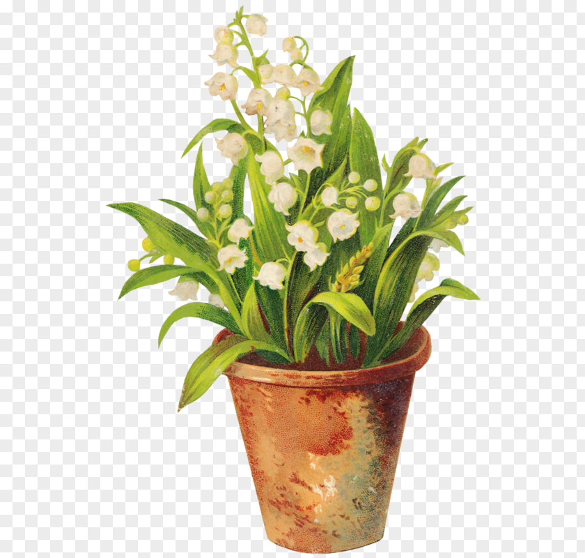 Vase Flowerpot Bonsai PNG