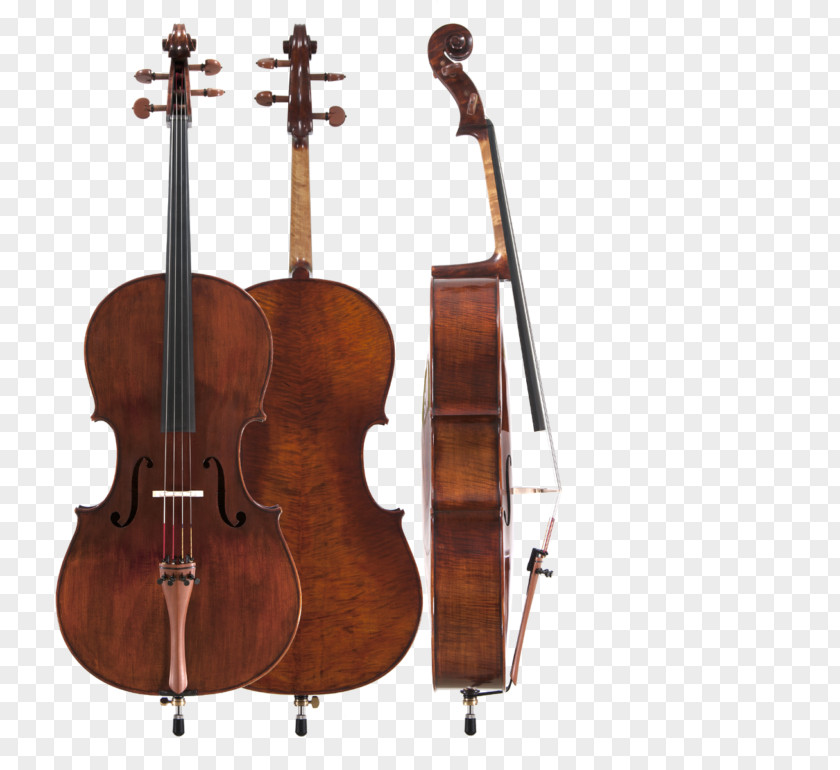 Violin Rare Violins Of New York Viola Cello String Instruments PNG