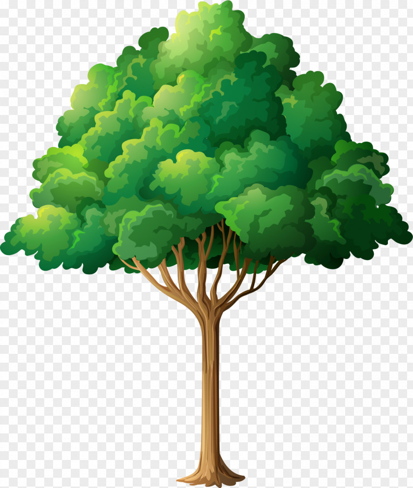 Hand-painted Green Tree Planting Branch Clip Art PNG