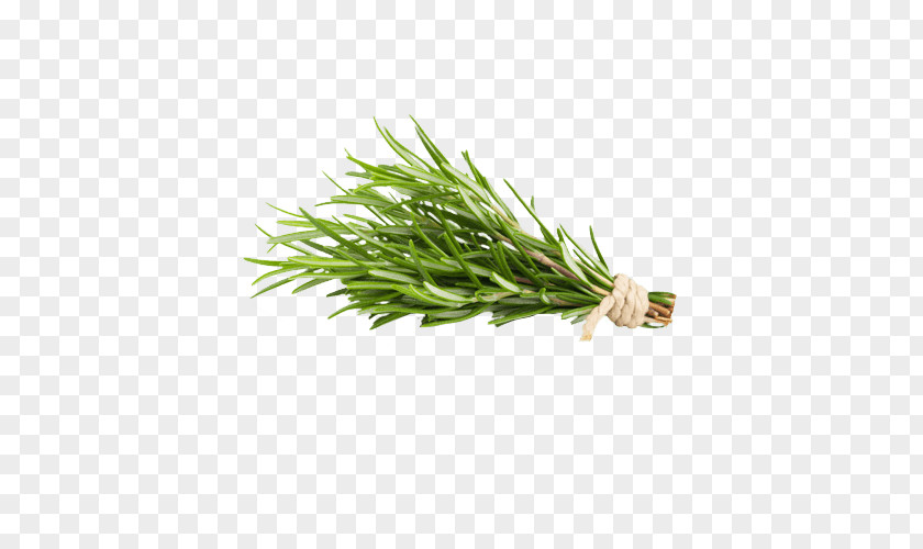 Health Rosemary Herb Food Oil PNG