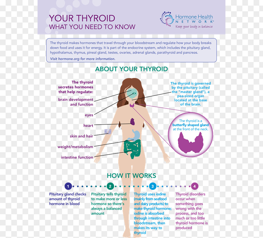 Health Woman The Thyroid Disease Hyperthyroidism Cancer PNG