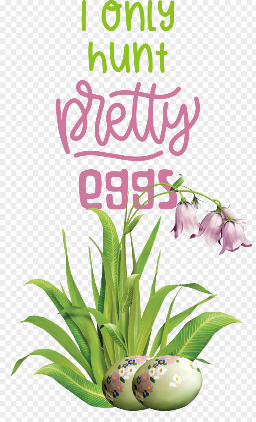 Hunt Pretty Eggs Egg Easter Day PNG