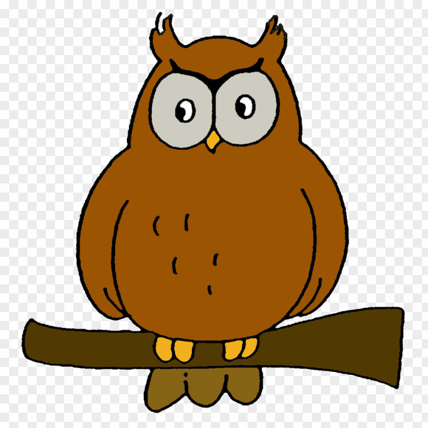 Owl Axenroos Beak Clip Art PNG
