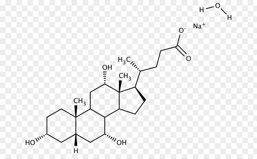 Sodium Sulfate Bile Acid Taurocholic Chemistry Amino PNG