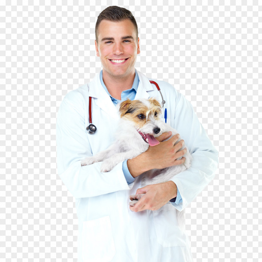 The Pet Doctor Holds Dog Veterinarian Surgery Physician PNG