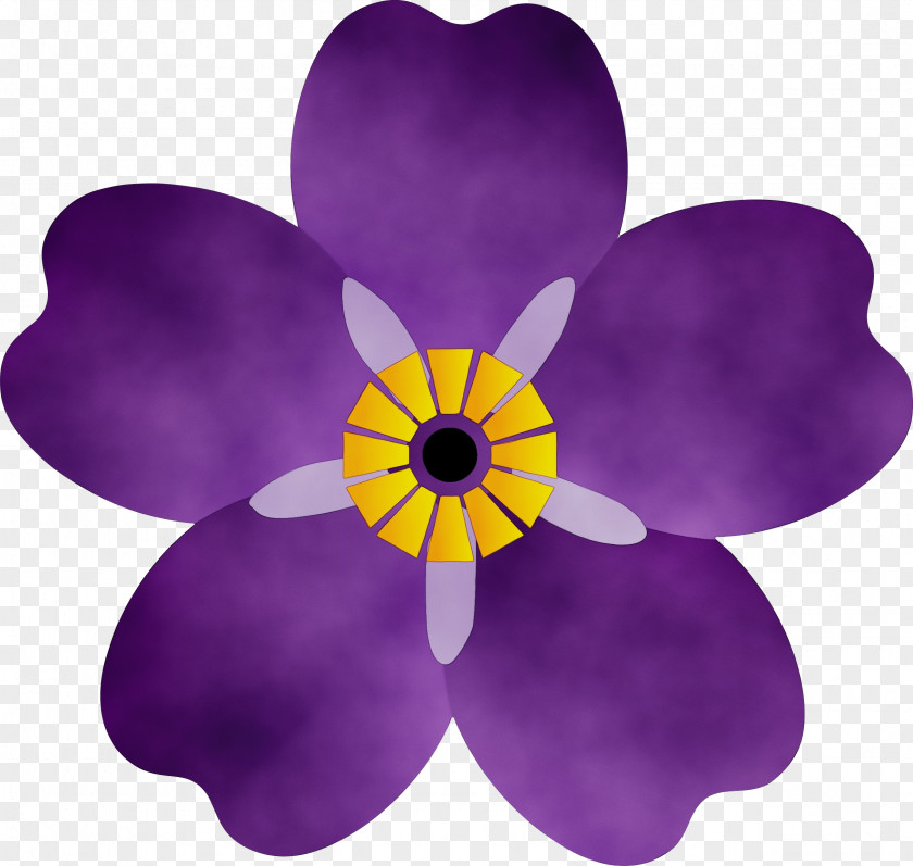Violet Family Wildflower Petal Purple Flower Plant PNG