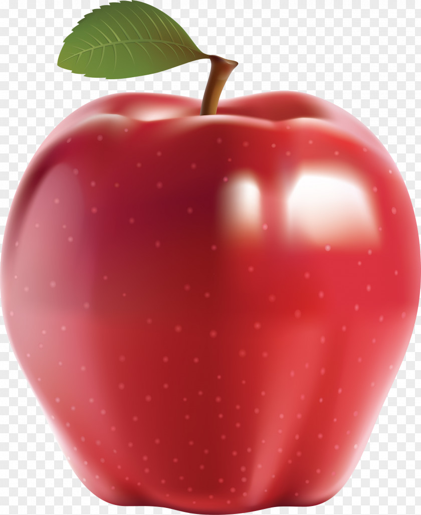 Apple Clip Art PNG