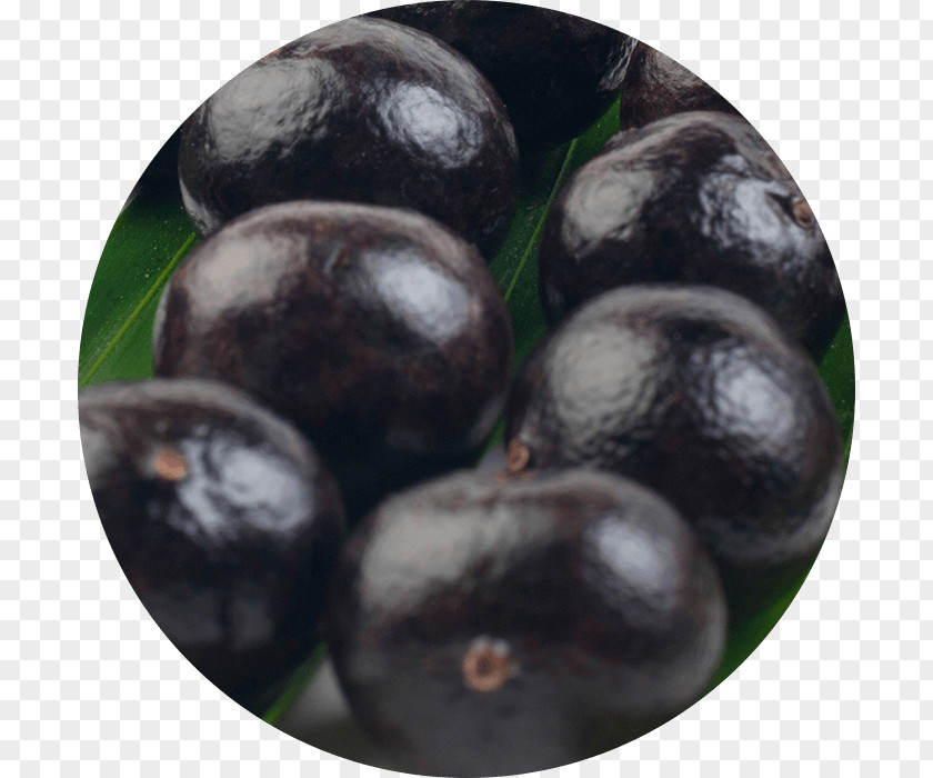 Blueberry Bilberry Superfood Superfruit Vitamin PNG