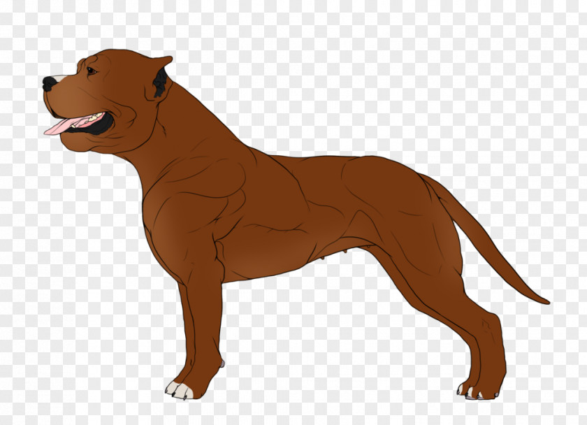Cat Dog Breed Boston Terrier American Staffordshire Cane Corso Bull PNG
