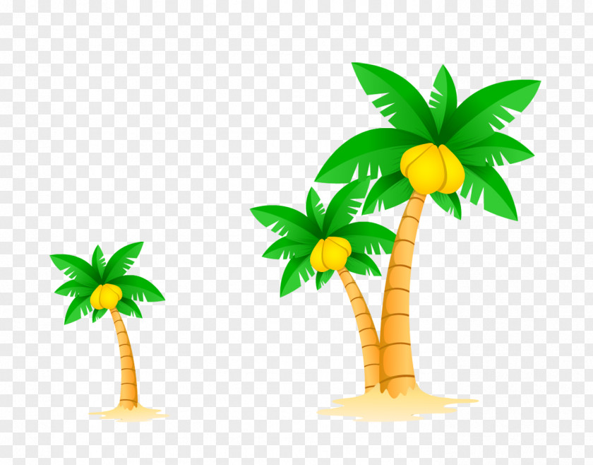 Great Cartoon Fresh Coconut Illustration PNG