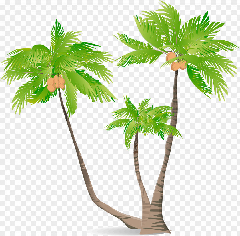 Green Cartoon Coconut Tree Arecaceae Illustration PNG