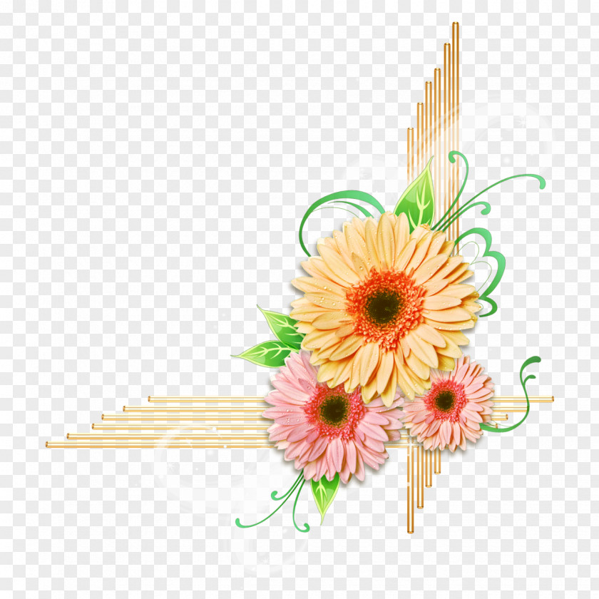 Hantel Flower Transvaal Daisy Clip Art PNG