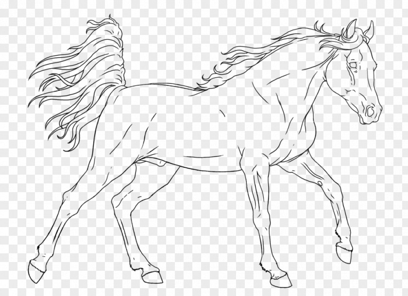 Horse Mane Coloring Book Colt Foal PNG