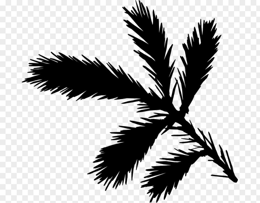 M Silhouette Leaf Palm Trees Black & White PNG
