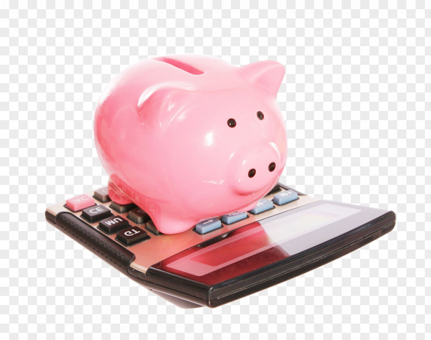 Piggy Bank On A Computer Money Stock Photography Saving Investment PNG