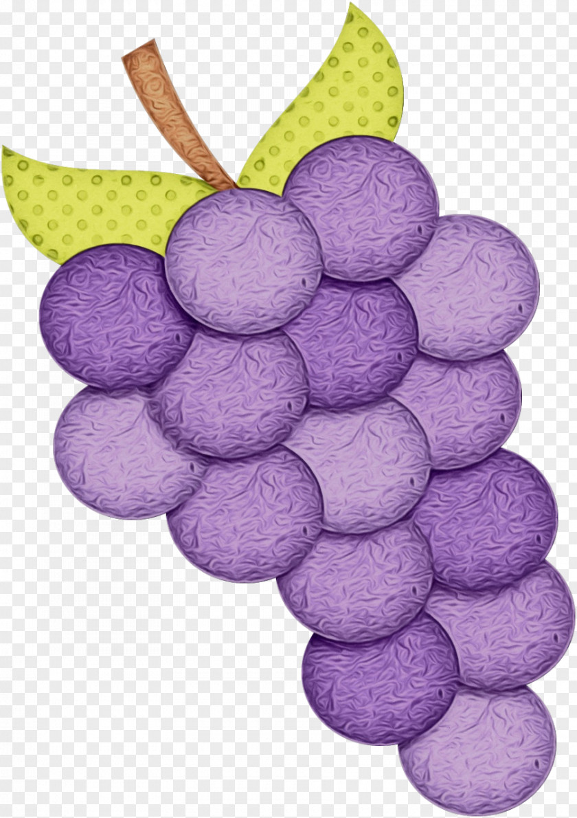 Plant Fruit Grape Cartoon PNG
