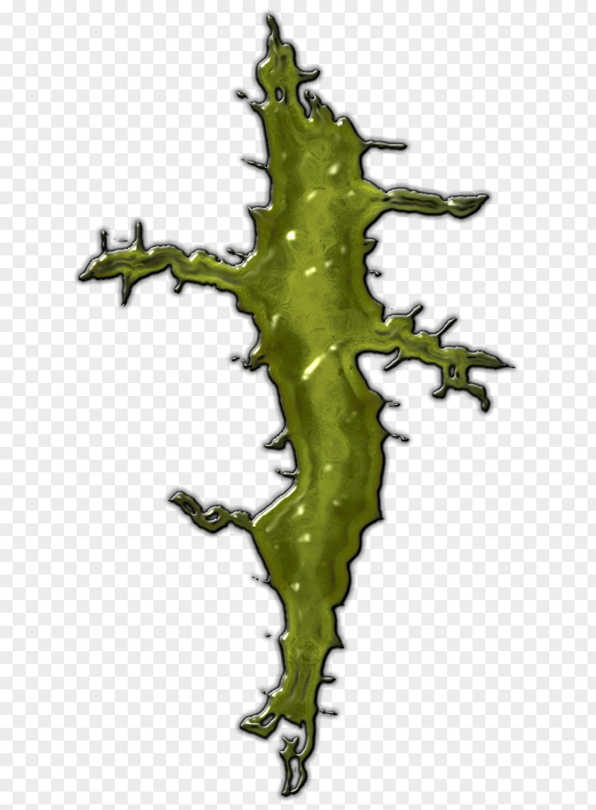 Slime Ooze Green Map PNG