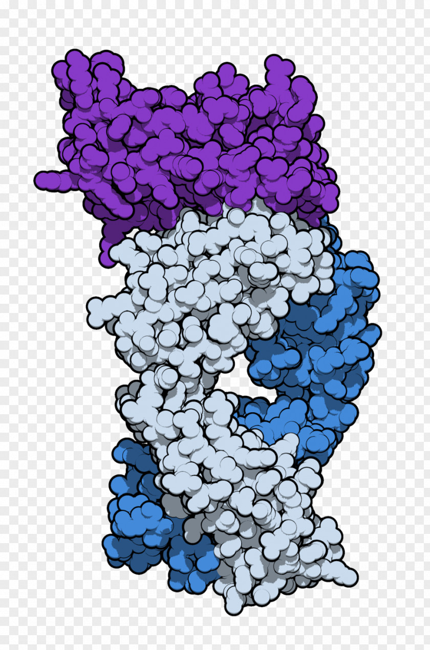 Systemic Lupus Erythematosus Sifalimumab Anifrolumab Dermatomyositis Polymyositis PNG