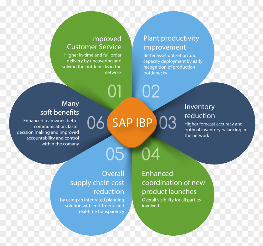 Tangible Benefits Integrated Business Planning Organization SAP SE PNG