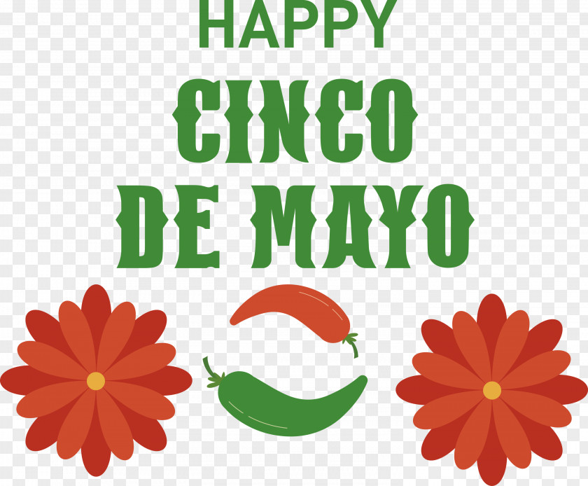 Cinco De Mayo Fifth Of May Mexico PNG