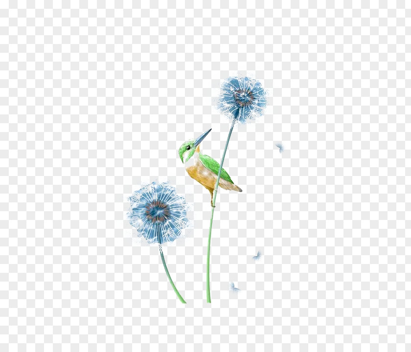 Dandelion And Kingfisher Bird Blue PNG
