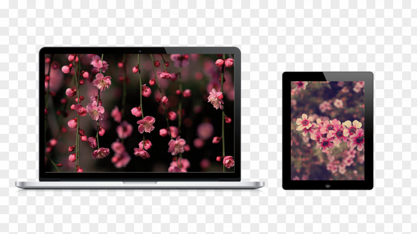 Laptop Desktop Wallpaper Computers High-definition Television PNG
