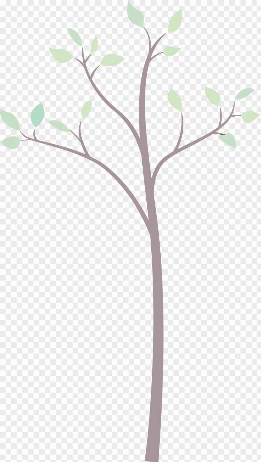 Plant Flower Branch Tree Stem PNG