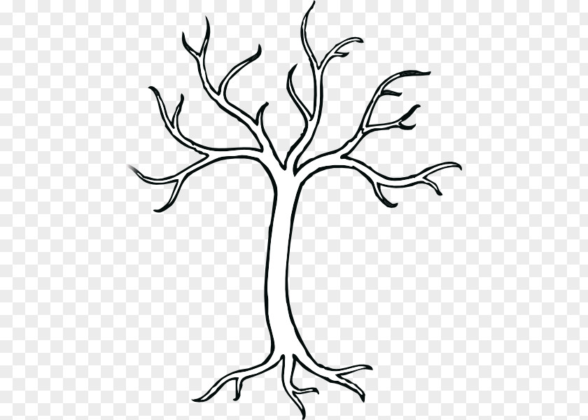 Cartoon Tree Roots Trunk Drawing Clip Art PNG