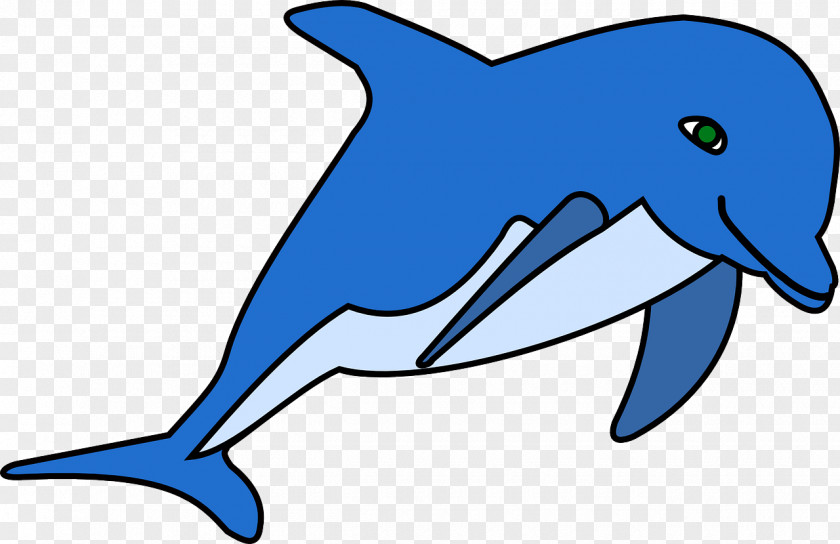 Excited Dolphin Free Content Clip Art PNG