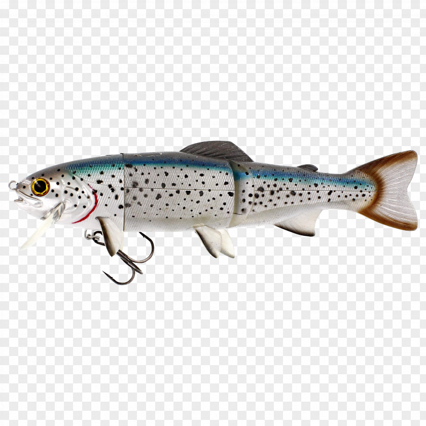 Fishing Baits & Lures Northern Pike Trout Salmonids PNG