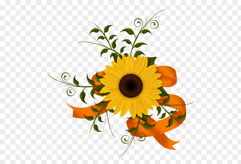 Flower Common Sunflower Floral Design Image Drawing PNG