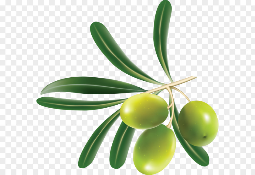 Olives Greek Cuisine Tapenade Mediterranean Clip Art PNG