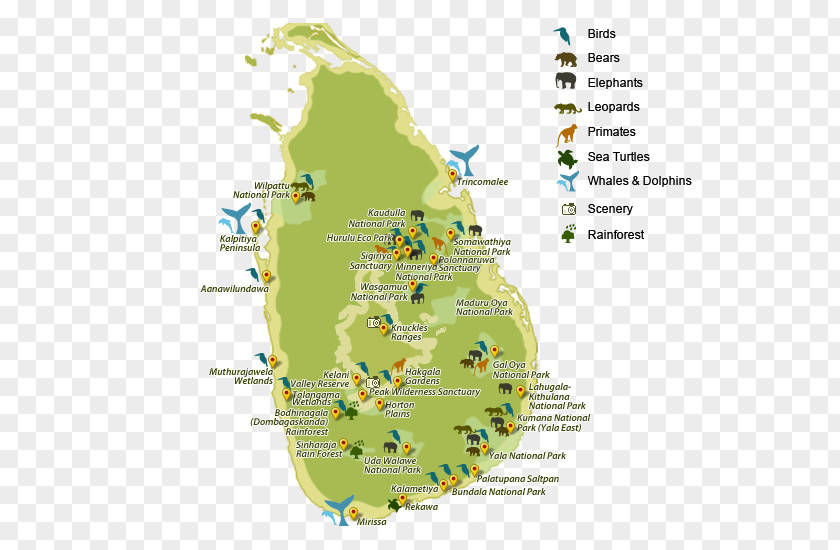 Park Yala National Sinharaja Forest Reserve Udawalawe Bandipur PNG