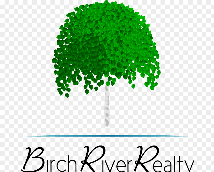 Tree Birch River Realty Drive Achasta PNG